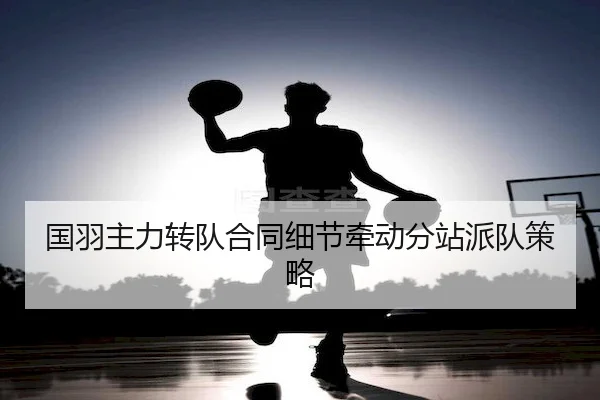国羽主力转队合同细节牵动分站派队策略